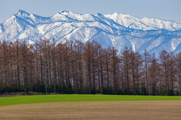 広大な牧草地帯と、防風林の向こうにも広がる雪が残った山