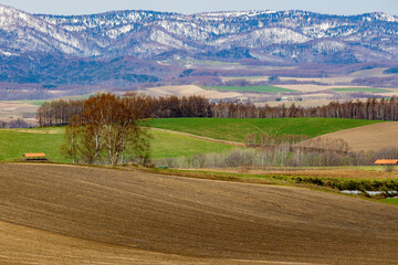 北の大地に折り重なる初春の牧草地と防風林、雪が残った山々