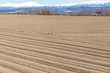 作付けをしたばかりの北海道の広大な畑と雪が残る山