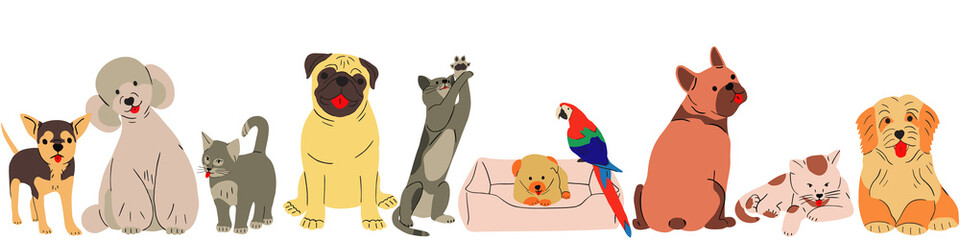 Banner with cute domestic pets group portrait and empty space. Happy doggies, puppies of different breeds, cats and parrot posing together. Funny canine animals gang 