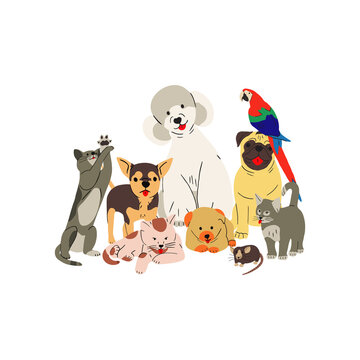 Cute domestic pets group portrait. Happy doggies, puppies of different breeds, cats and parrot posing together. Funny canine animals gang with Poodle, Pug, Chihuahua. Isolated flat vector illustration