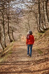 Fototapeta na wymiar Woman walking in the woods. Healthy lifestyle. Natural environment
