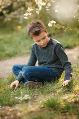 Boy is sitting on the grass in the blossom garden on beautiful spring day . Kid is relaxing while touching grass during sunset.