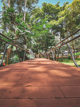 wooden bridge over the forest