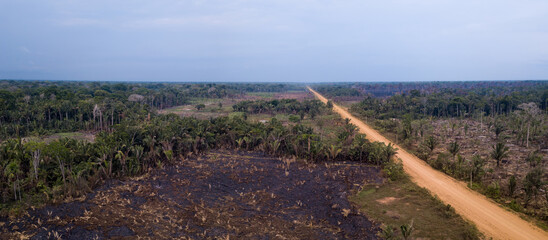 Aerial view of illegal deforestation in the amazon rainforest near BR-230 Transamazonica road....