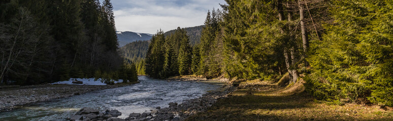Obraz premium River and spruce forest with mountains at background, banner.