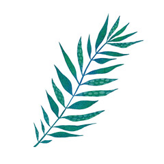 Watercolor tropical leaf. Green palm leaf isolated on white background.