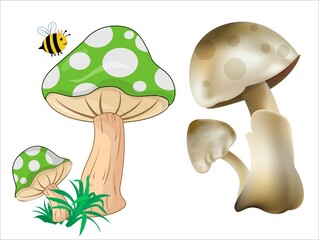 Mushroom realistic and comic style ,flying bee vector illustration
