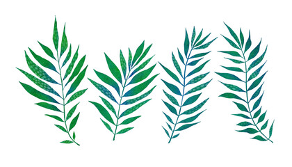 Naklejka premium Watercolor set of tropical palm leaves isolated on white background.