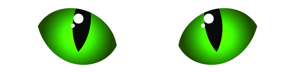 Cute green cat eyes illustration isolated on white background. Vector EPS 10 © Maximlacrimart