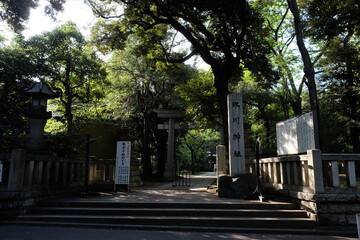 緑の濃い「赤坂氷川神社」の鳥居（東京都港区）Torii of Akasaka Hikawa-jinjya Shrine (Tokyo 2019)