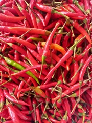 Lots of fresh red peppers for hot and spicy dishes.