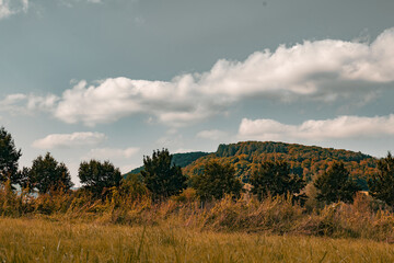 Obraz premium landscape of mountain and forest in autumn. mountain landscape with yellow grass and a gray sky with clouds