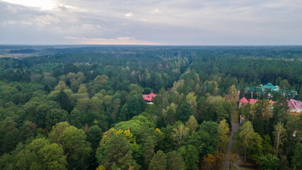Fototapeta na wymiar Aerial view of luxury hotel with villas in forest. Luxurious villa, pavilion in forest. Resort complex in forest surrounded by trees.