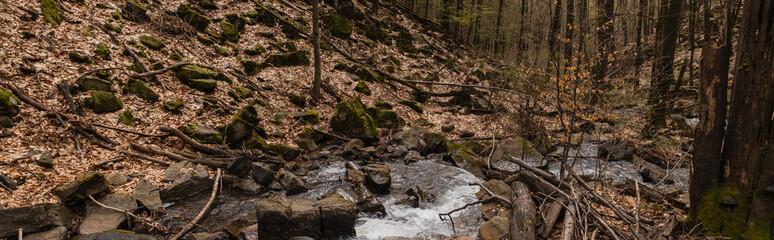 Fototapeta na wymiar Stones in moss on hill near creek in forest, banner.