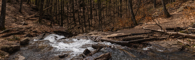 Mountain creek between trees on hills in forest, banner.