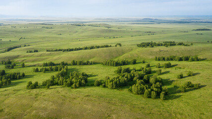 Fototapeta na wymiar Southern Urals, trans-Ural steppe. A herd of horses in the pasture. Aerial view.