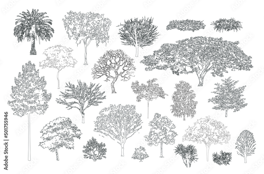 Poster Minimal style cad tree line, Side view, set of graphics trees elements outline symbol for architecture and landscape design drawing. Vector illustration in stroke fill in white. Tropical