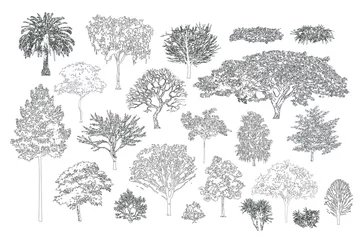 Papier Peint photo Lavable Blanche Minimal style cad tree line, Side view, set of graphics trees elements outline symbol for architecture and landscape design drawing. Vector illustration in stroke fill in white. Tropical