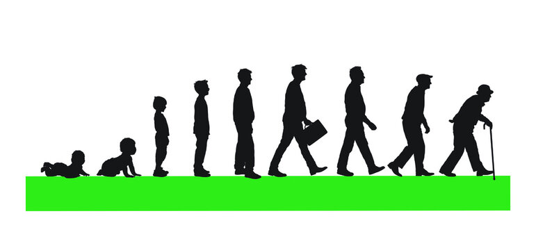Life cycles of man from a little baby to senior man silhouette vector illustration.
