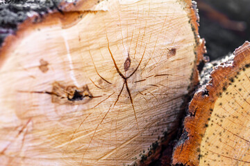 there is a pattern in the form of a man on the log cabin of a wooden log; creative design