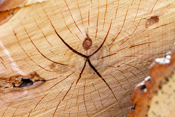 there is a pattern in the form of a man on the log cabin of a wooden log; creative design