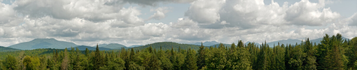 High peaks of the Adirondack mountains in summer