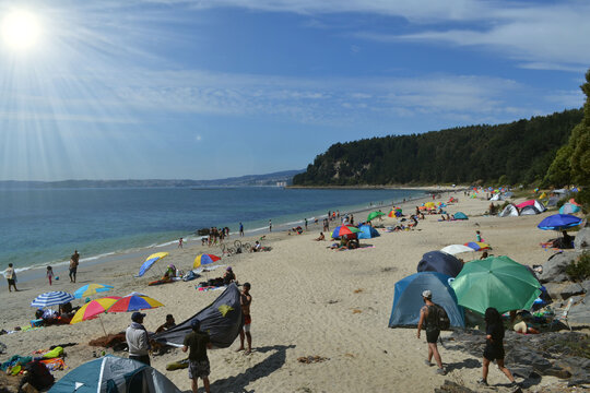 the beautiful beach of punta de parra in Chile