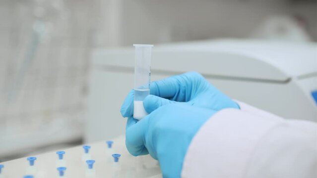 Scientist actives cartridge in SPE manifold with a solvent. Vacuum solid phase extraction for food analysis. 