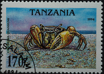 TANZANIA - CIRCA 1994: a postage stamp from TANZANIA, showing a Blue Land Crab (Cardisoma...