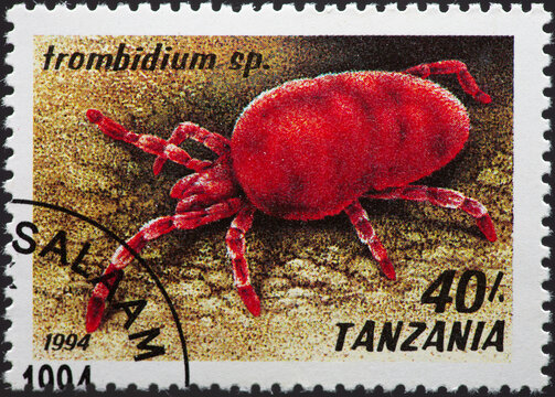 TANZANIA - CIRCA 1994: a postage stamp from TANZANIA, showing an Arachnid the Red Velvet Mite (Trombidium sp.) . Circa 1994