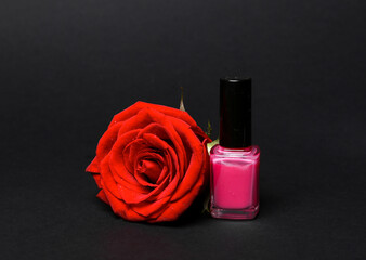 Obraz na płótnie Canvas Beauty still life. Pink Nail polish bottle with rose bud isolated on black background