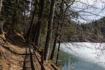 Walkway near lake with snow and trees in forest.