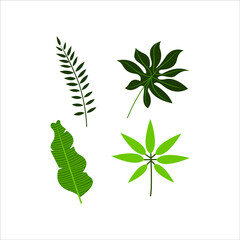 Four leaves vector element green nature set