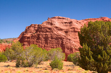 Evergreen Bushes & Red Rock Cliffs.
