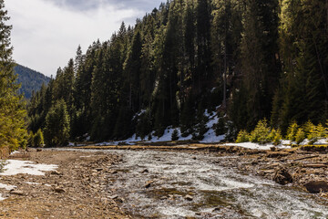 River near mountain forest in spring.