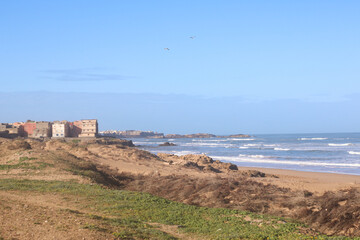 Wild beach near Essaouira, Morocco