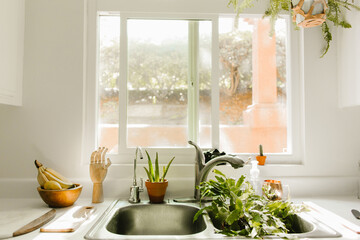 boho kitchen with house plants in kitchen sink to be watered