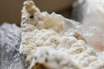 Hericium erinaceus medicinal mushroom nootropic. Fruiting bodies