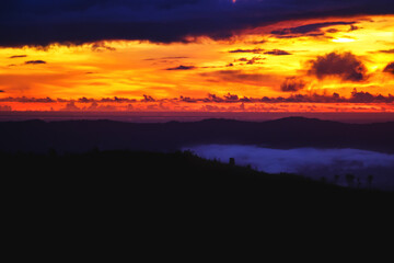 nature's beauty is never lost