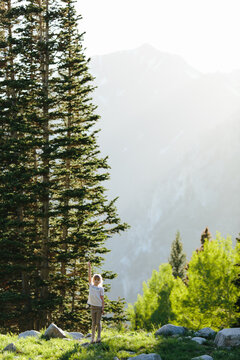 little girl raising her arm standing on rock by pine trees in th