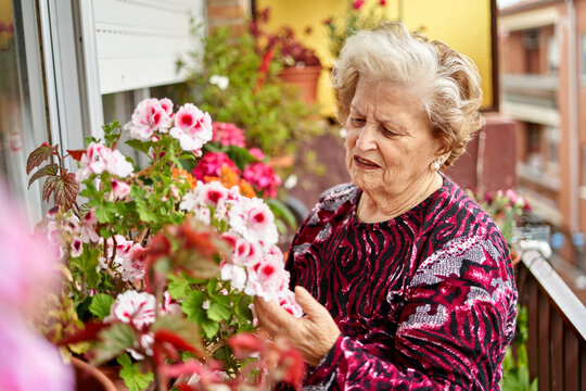 senior woman with flowers at summer garden