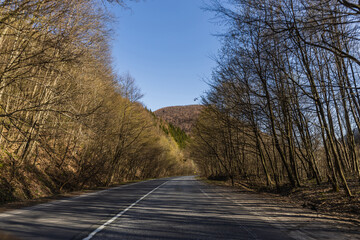 Obraz premium Empty road between mountain forest in spring.