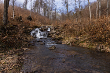 Stones in mountain creek in autumn forest.