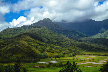 Fototapeta na wymiar The beautiful lush jungles of Kauai, Hawaii, with green mountains rising in the distance underneath a cloudy sky, near Hanalei