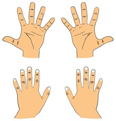 Human hand drawing right and left palmar and dorsal surface view fingers thumb index middle ring and little fingernail useful for basic education names math counting science and skin anatomy vector