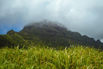 Mist and low clouds hang over the beautiful green mountains of Kipu on the Hawaiian Island of Kauai