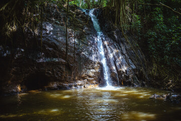 Small, gently flowing jungle waterfall deep in the forest on the Kipu Ranch on the Hawaiian island of Kauai, surrounded by lush tropical foliage and descending into a bright green natural pond