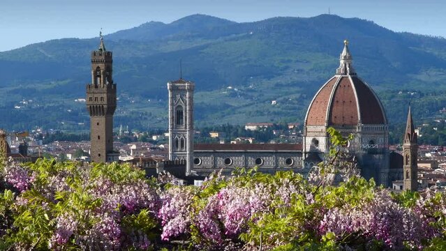 Beautiful view of the famous Cathedral of Santa Maria del Fiore, Giotto's Bell Tower and Palace of the Town Hall in Florence with blooming wisteria on the foreground. Italy