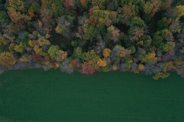 Northern Wisconsin Fall Colors Aerial View Top Down